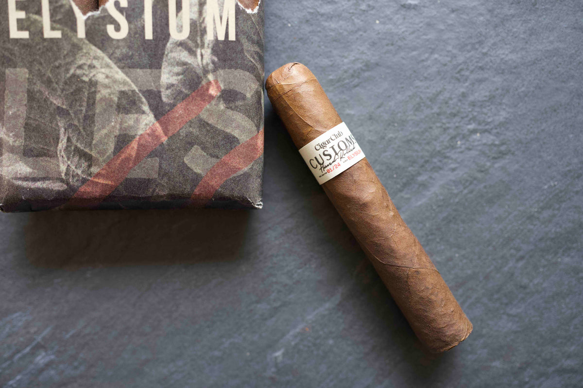 Embers of Elysium | Among These Ashes, image size:1200x798