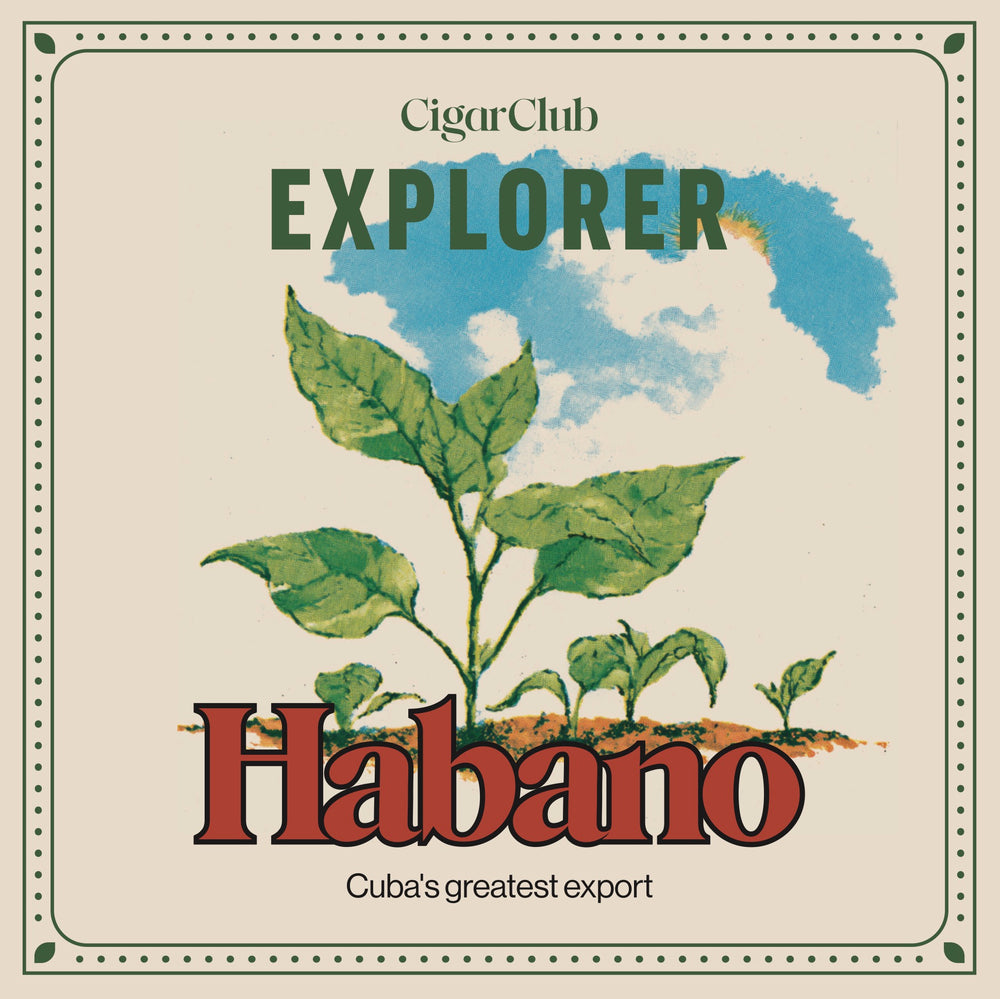 Habano - 3 Cigars