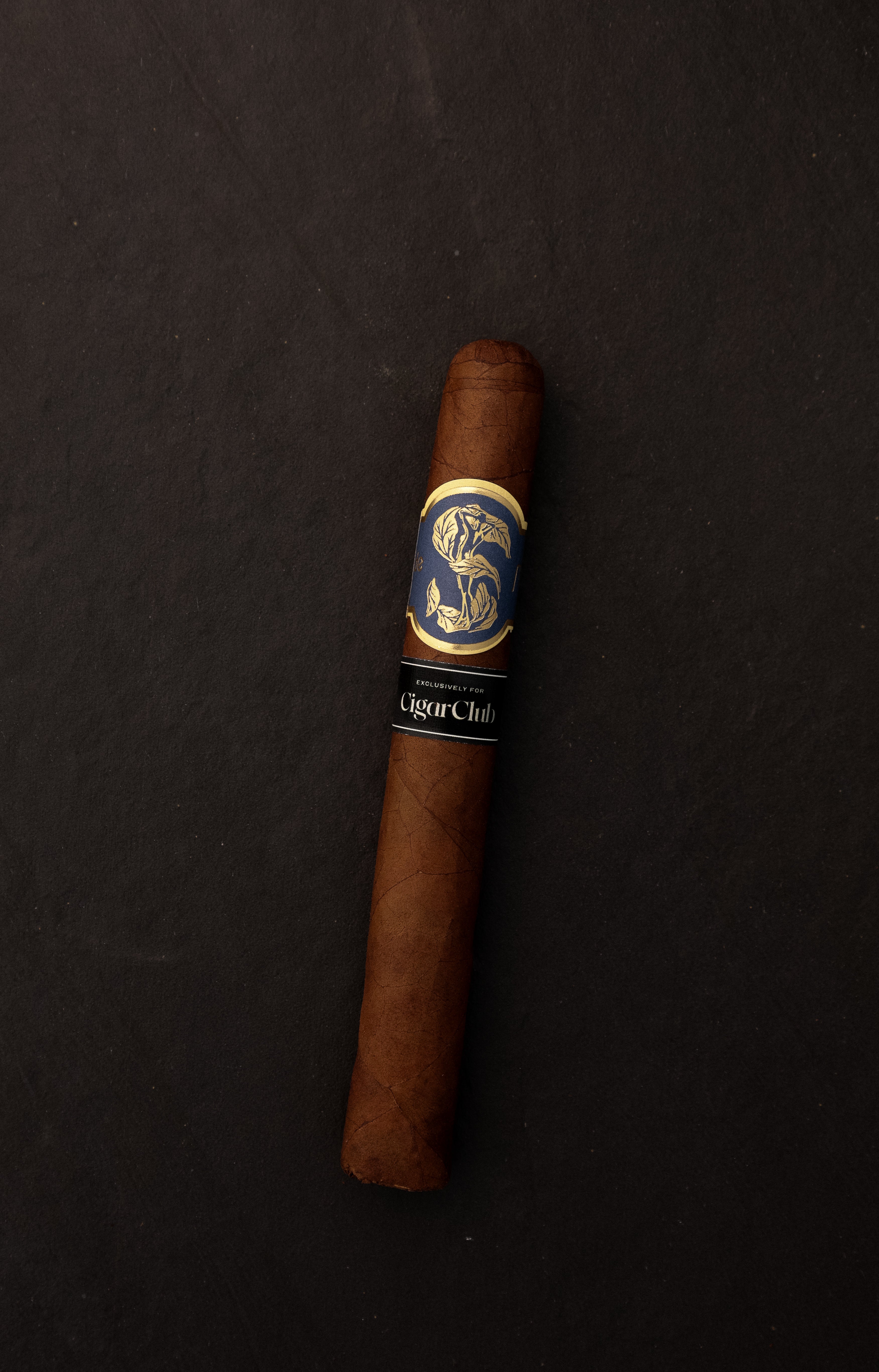 CigarClub x Matilde Exclusive Corona Gorda | 5 Pack - [Cigar Club] - [cigar subscription]