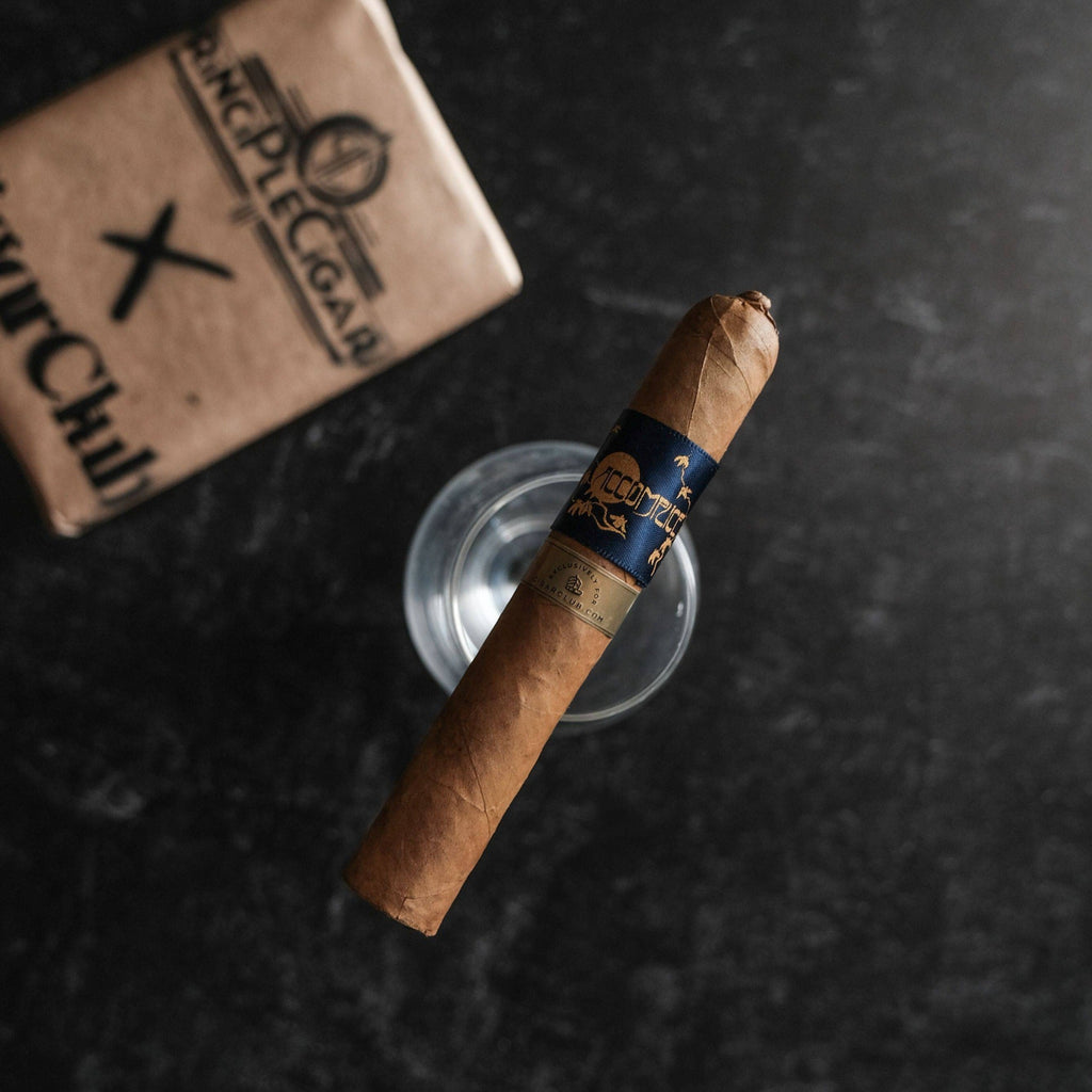 Principle x CigarClub Exclusive | Accomplice Connecticut Vintage - [Cigar Club] - [cigar subscription]